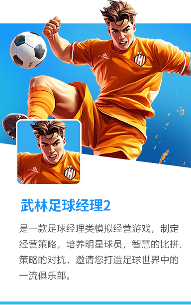 武林足球经理2
